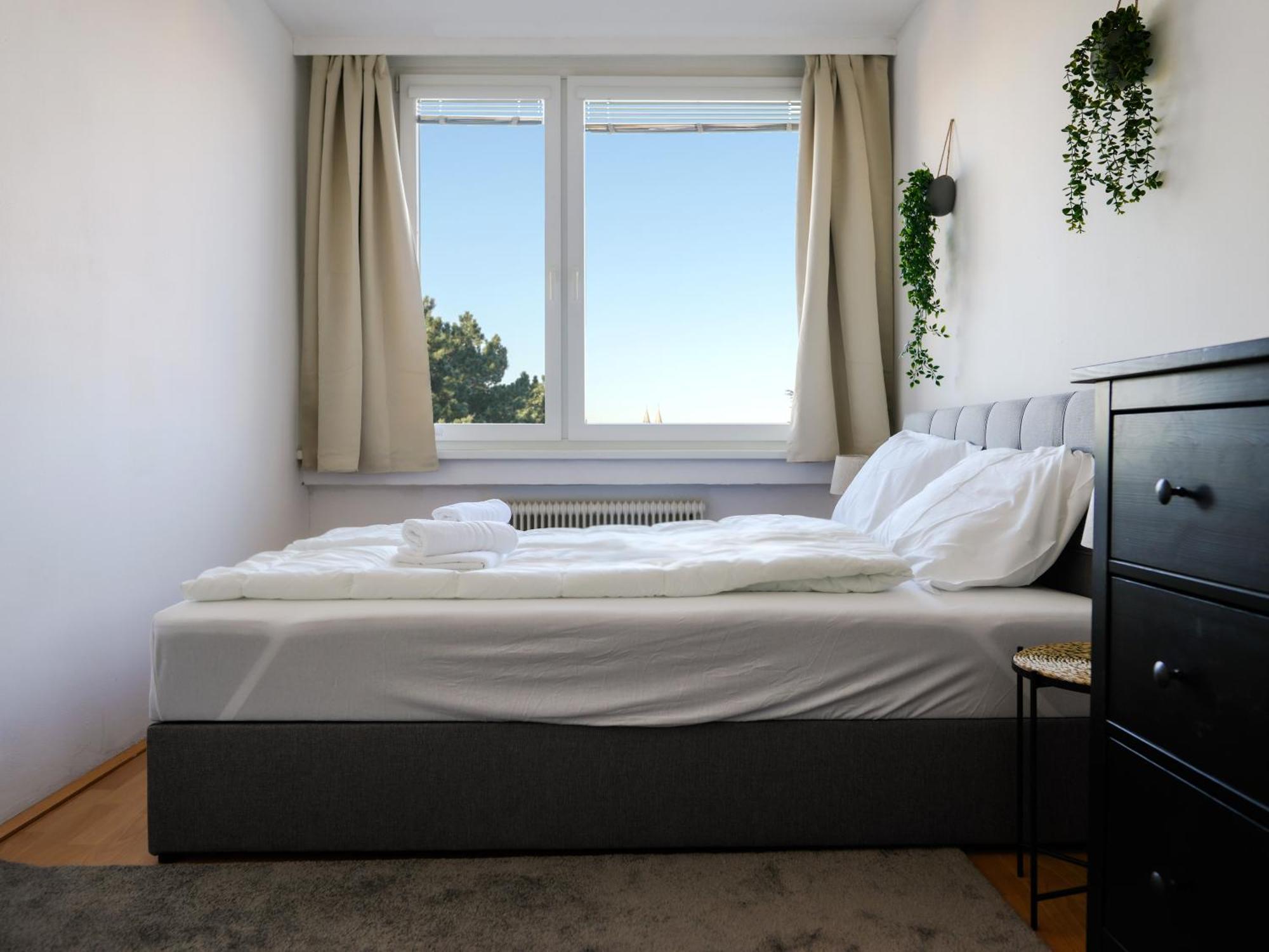 Spacious Apartments With View & Free Parking Винер-Нойштадт Экстерьер фото