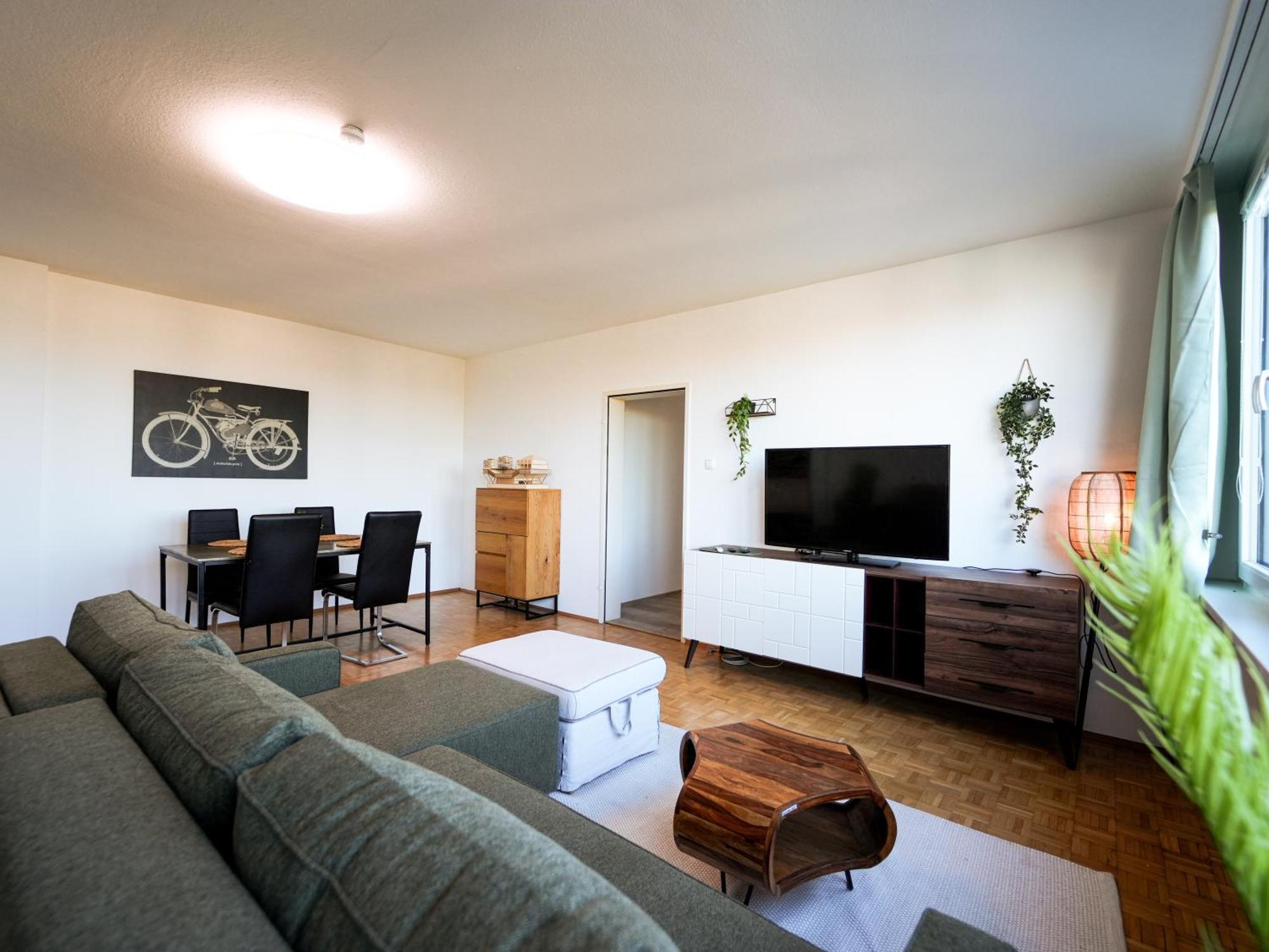 Spacious Apartments With View & Free Parking Винер-Нойштадт Экстерьер фото